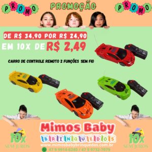 Carro de Controle Remoto 2 Funções  - Cores Sortidas - Sem Fio