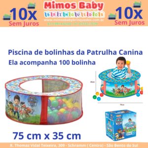 Piscina de bolinhas da Patrulha Canina - Lider