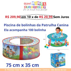 Piscina de bolinhas da Patrulha Canina - Lider