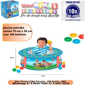 Piscina de bolinhas da Patrulha Canina - Lider