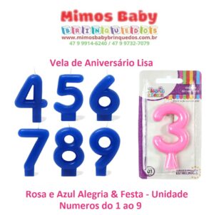 Vela de Aniversário Lisa Rosa e Azul Alegria & Festa - Unidade