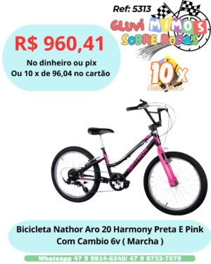 Bicicleta Nathor Aro 20 Harmony Preta E Pink Com Cambio 6v ( Marcha )