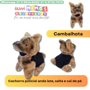 Cachorro policial anda late, salta e cai de pé