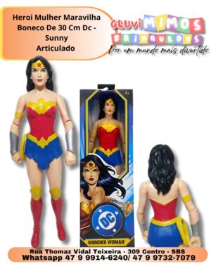 Heroi Mulher Maravilha Boneco De 30 Cm Dc - Sunny Articulado