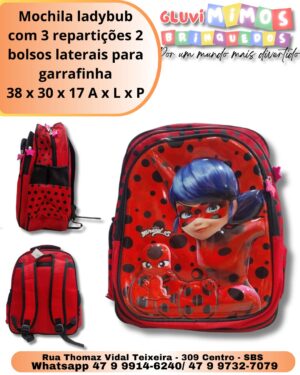 Mochila ladybug com 3 repartições 2 bolsos laterais para garrafinha 38 x 30 x 17 A x L x P