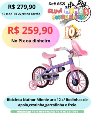 Bicicleta Nathor Minnie aro 12 c/ Rodinhas de apoio,cestinha,garrafinha e freio