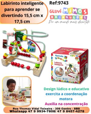 Labirinto inteligente para aprender se divertindo 15,5 cm x 17,5 cm