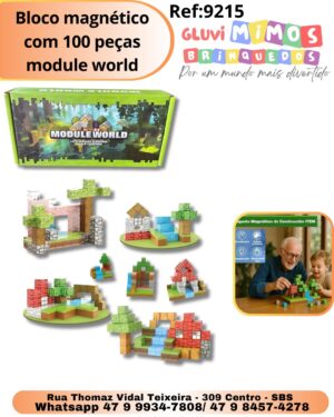 Bloco magnético com 100 peças module world