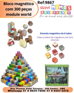 Bloco magnético com 300 peças module world