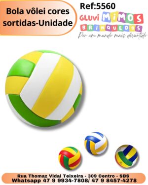 Bola vôlei cores sortidas-Unidade