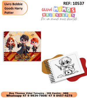 Livro bobbie Goods Harry Potter