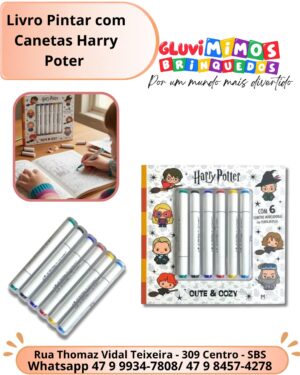 Livro Pintar com Canetas Harry Poter
